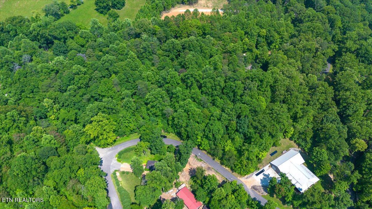 Hiwassee Drive, LaFollette