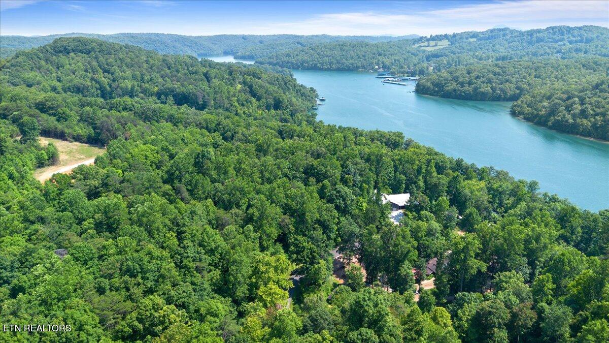 Hiwassee Drive, LaFollette