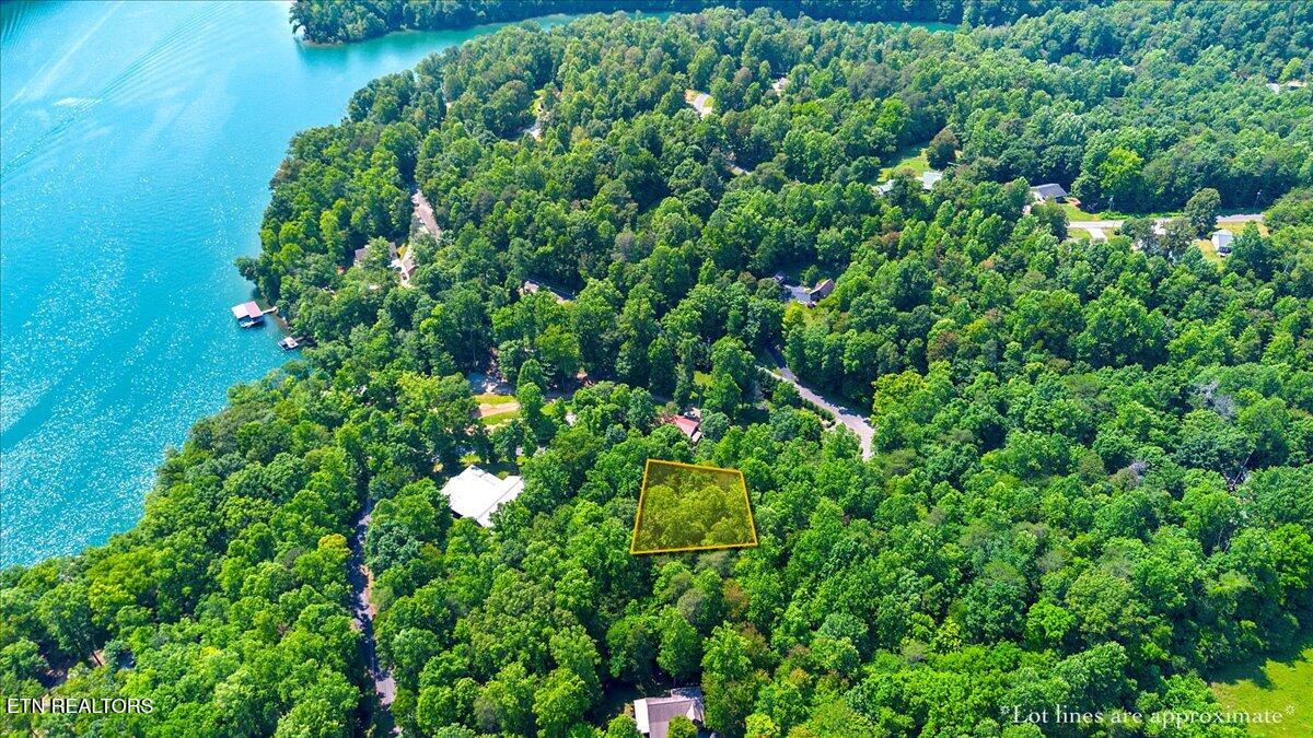 Hiwassee Drive, LaFollette