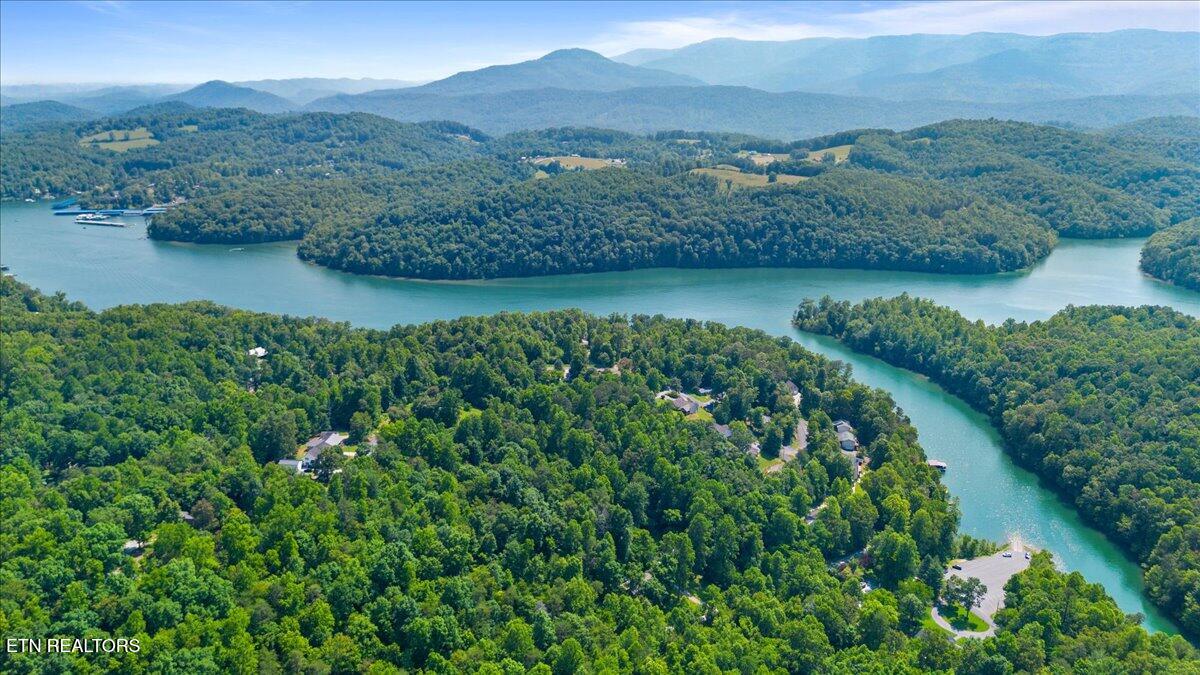 Hiwassee Drive, LaFollette