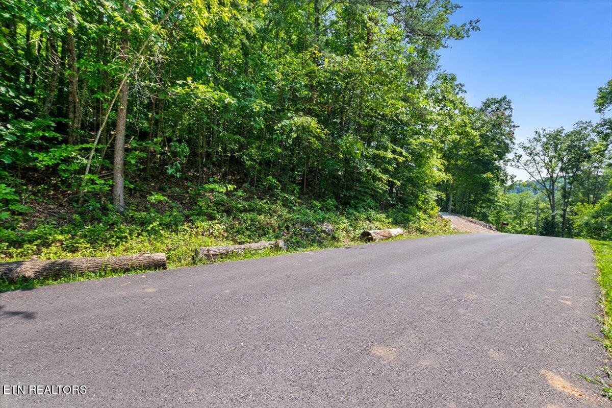 Hiwassee Drive, LaFollette