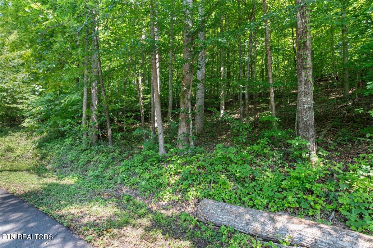 Hiwassee Drive, LaFollette