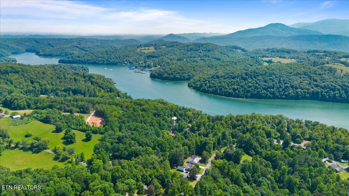 Hiwassee Drive, LaFollette