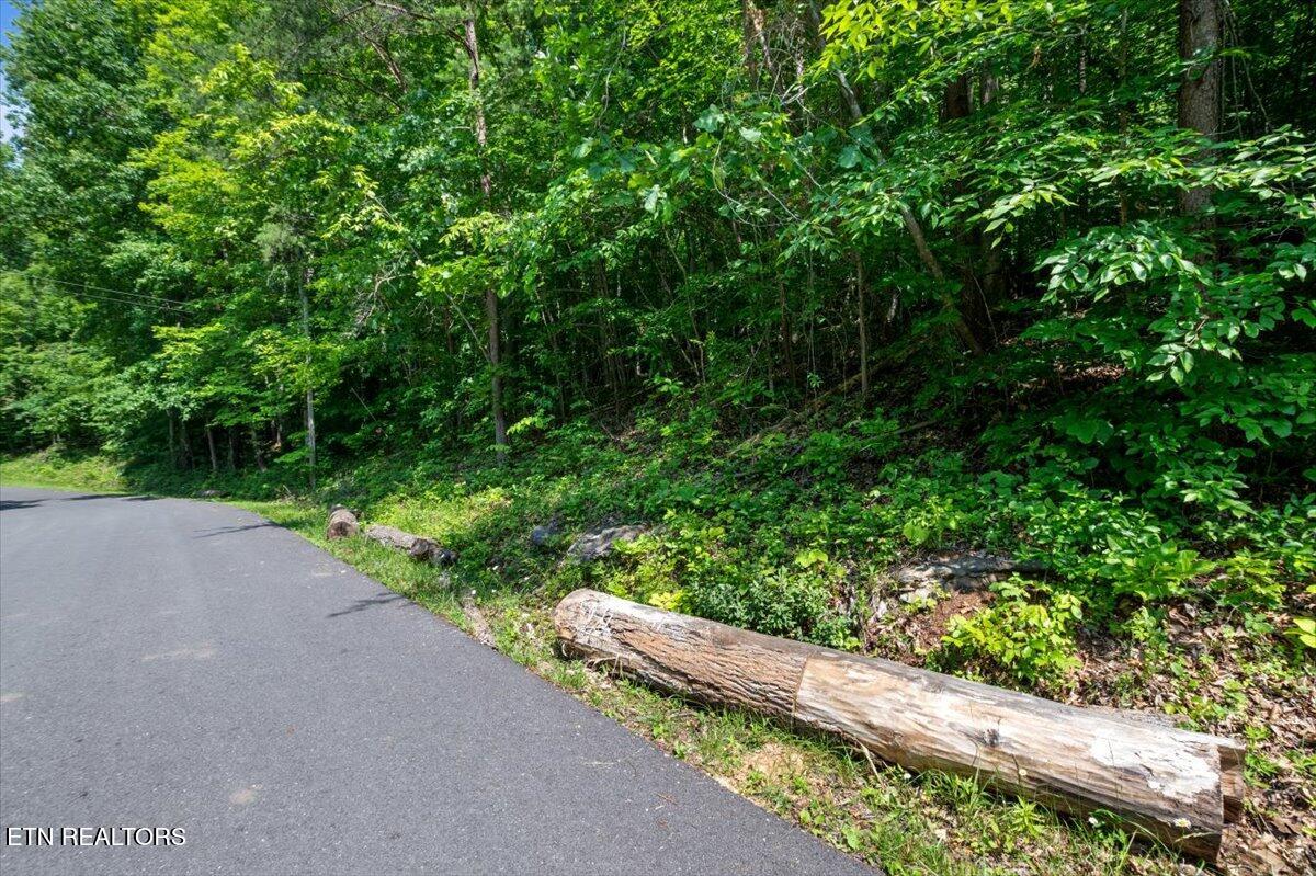 Hiwassee Drive, LaFollette