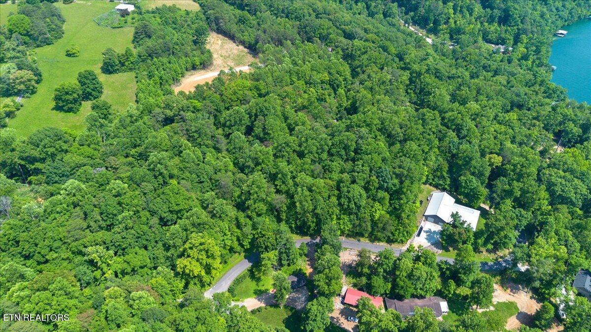 Hiwassee Drive, LaFollette