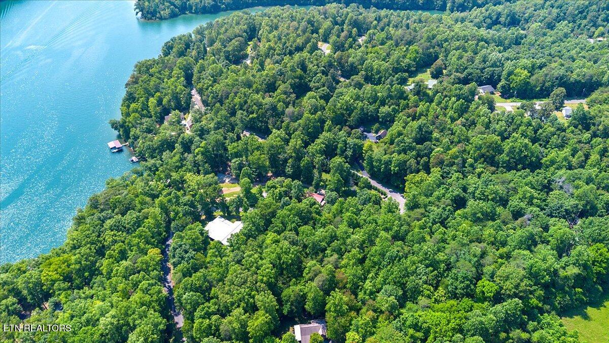 Hiwassee Drive, LaFollette