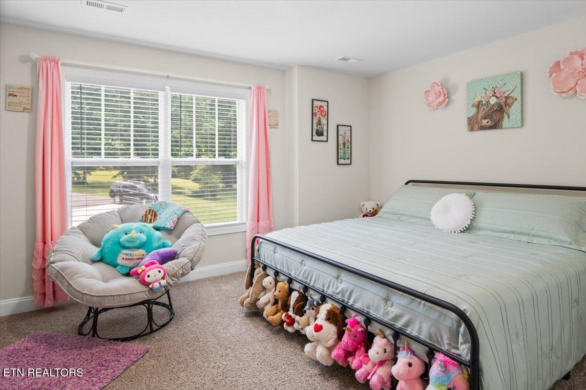 226 Hilldale Lane, LaFollette