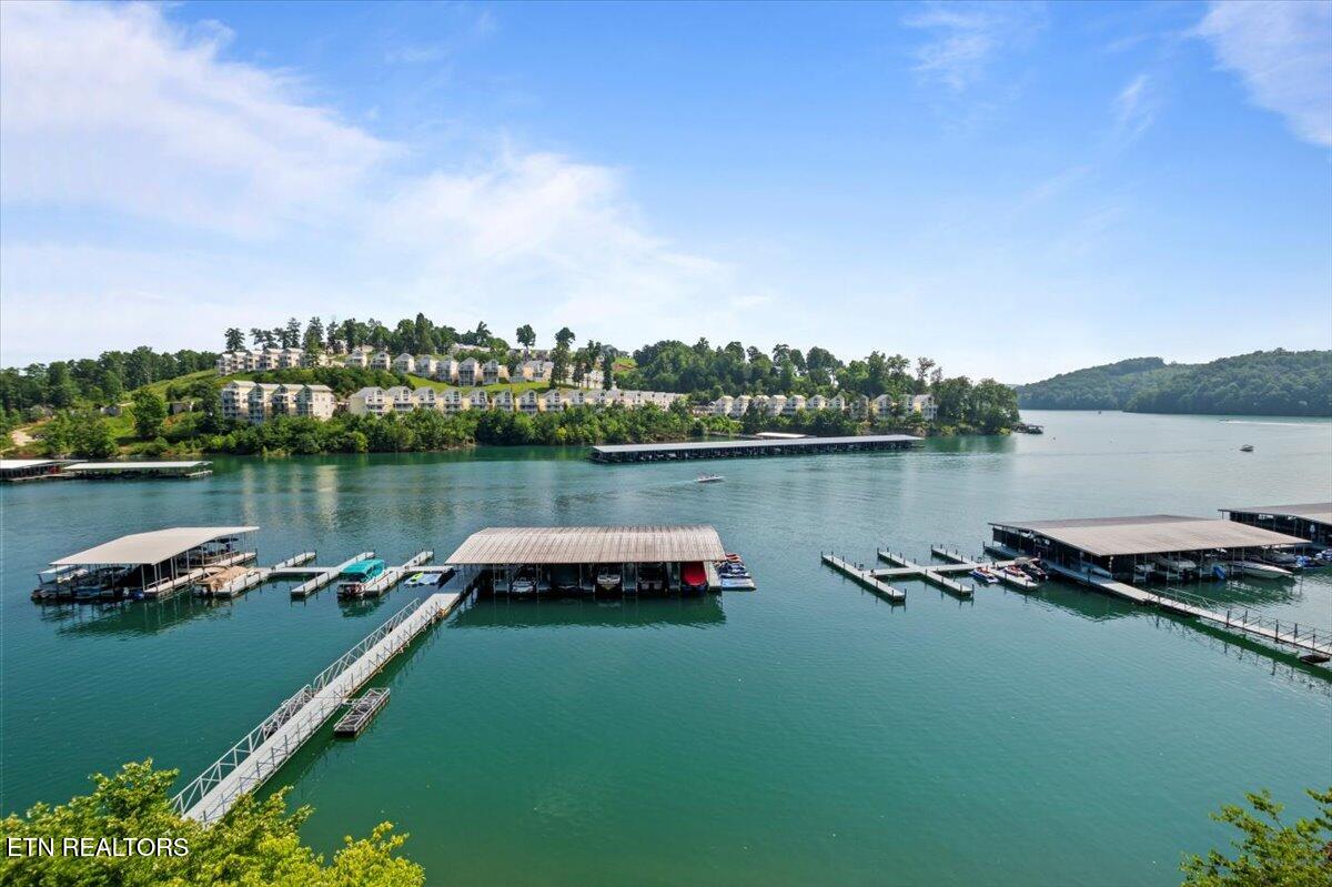 245 Doe Lane, 10, LaFollette Unit: 10