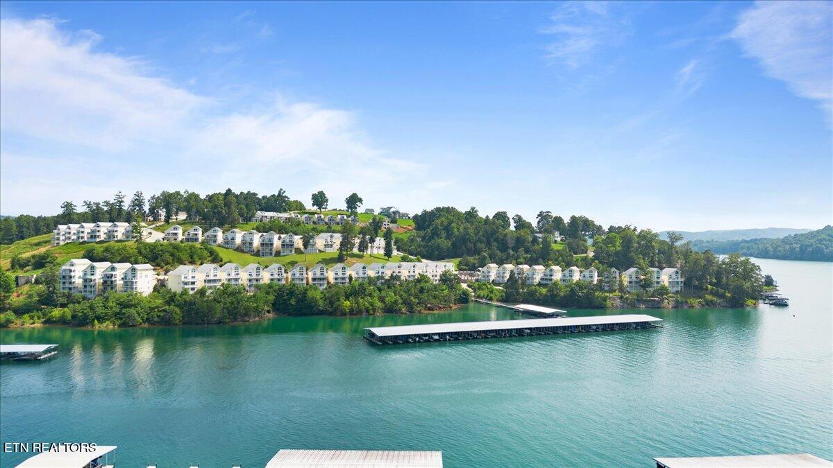 245 Doe Lane, 10, LaFollette Unit: 10