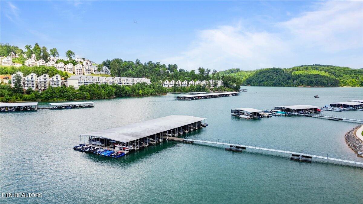 243 Doe Lane, 1, LaFollette Unit: 1