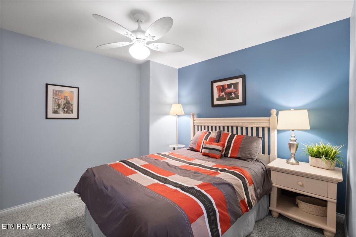 243 Doe Lane, 1, LaFollette Unit: 1