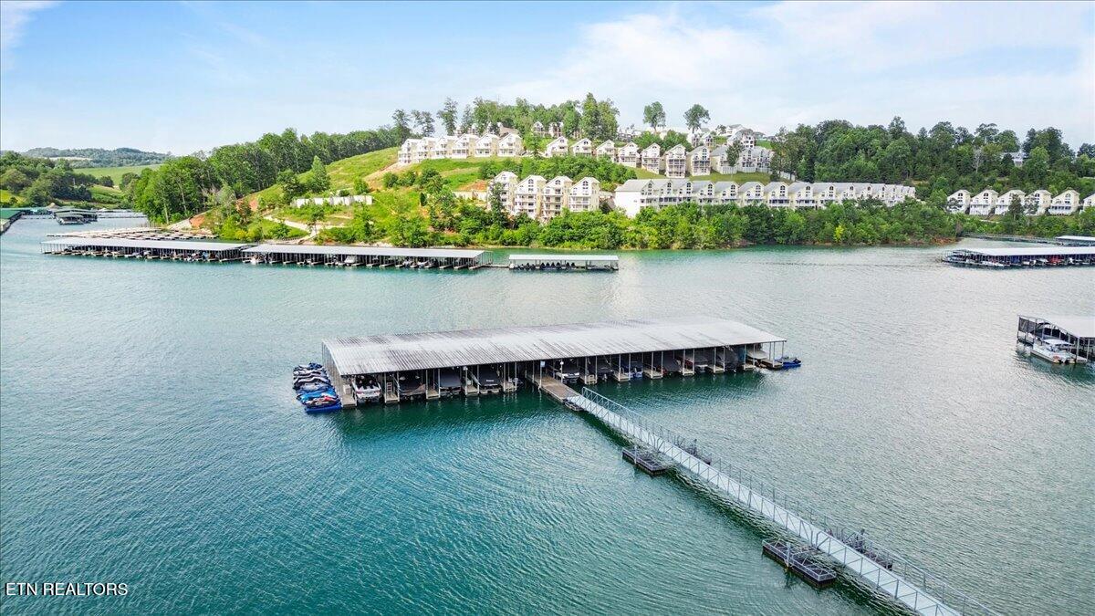 243 Doe Lane, 1, LaFollette Unit: 1