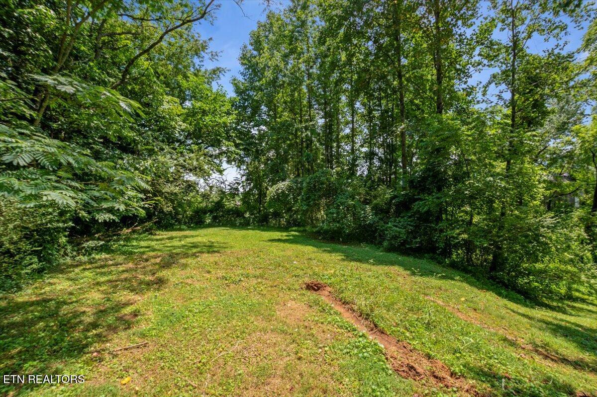 546 Park Rd