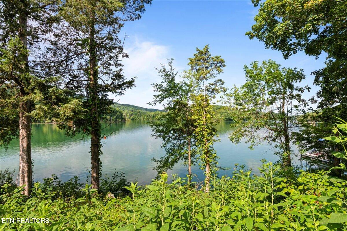 600 Powell Valley Marine Rd, LaFollette