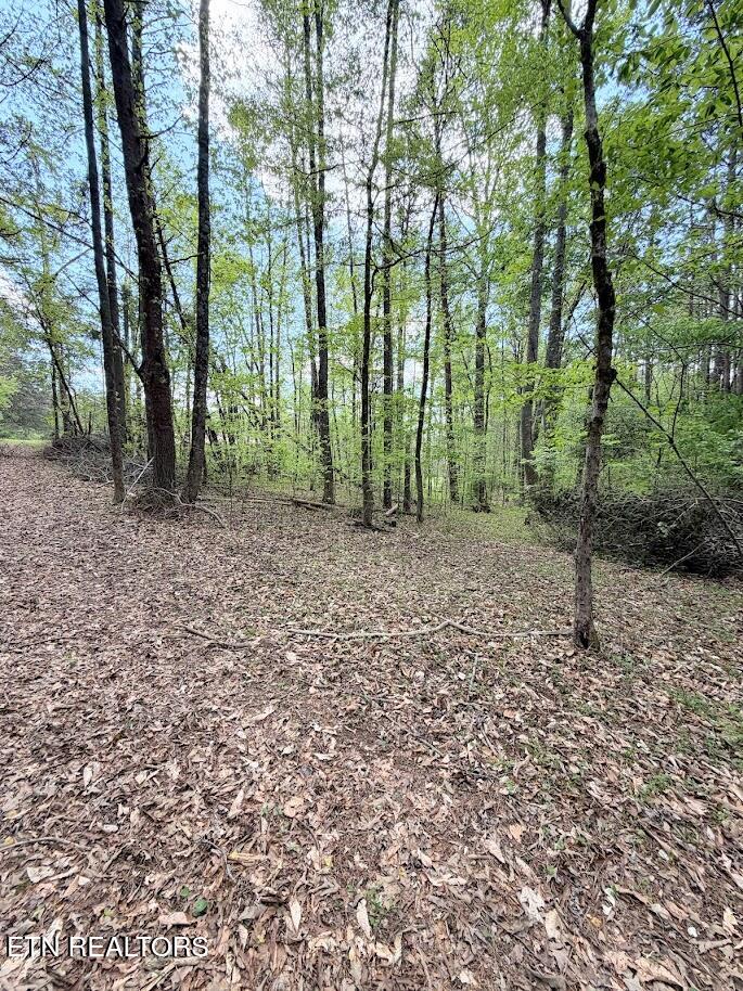1617 Bull Run Rd