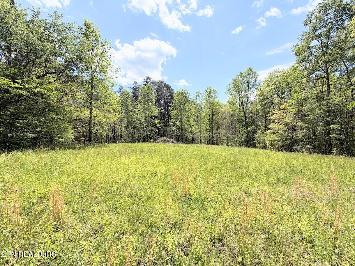 1617 Bull Run Rd