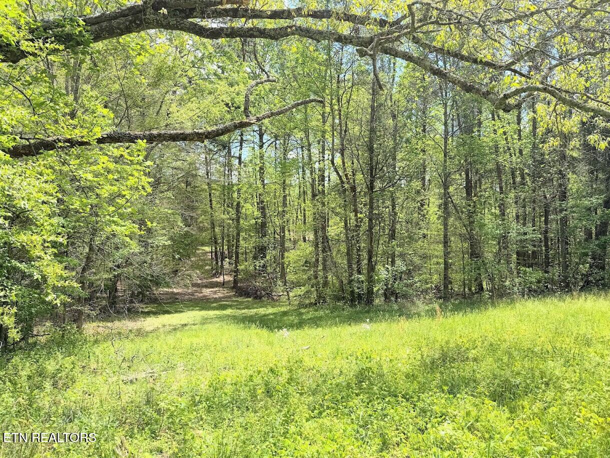 1617 Bull Run Rd