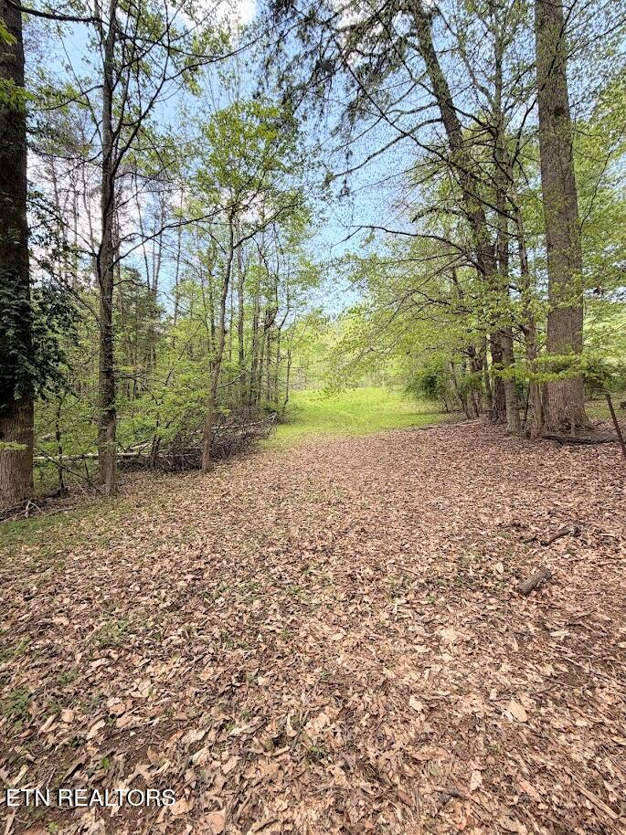 1617 Bull Run Rd