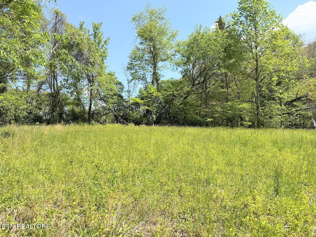 1617 Bull Run Rd