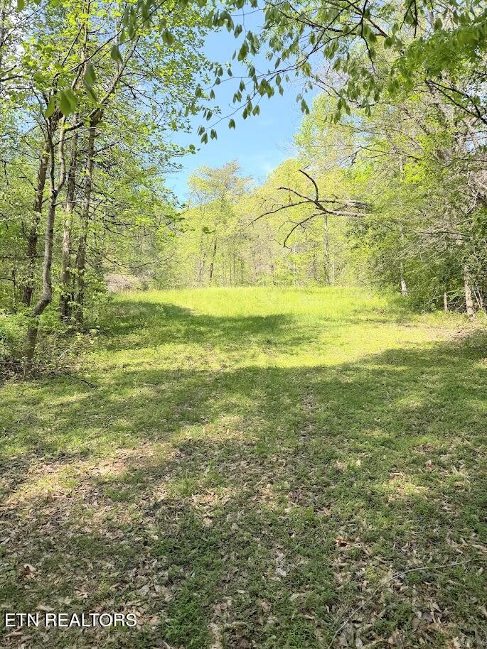 1617 Bull Run Rd