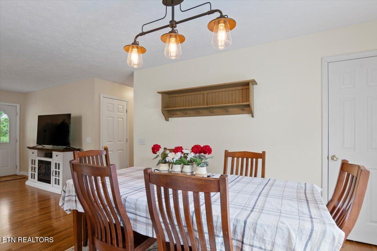 286 Lewis White Lane, LaFollette