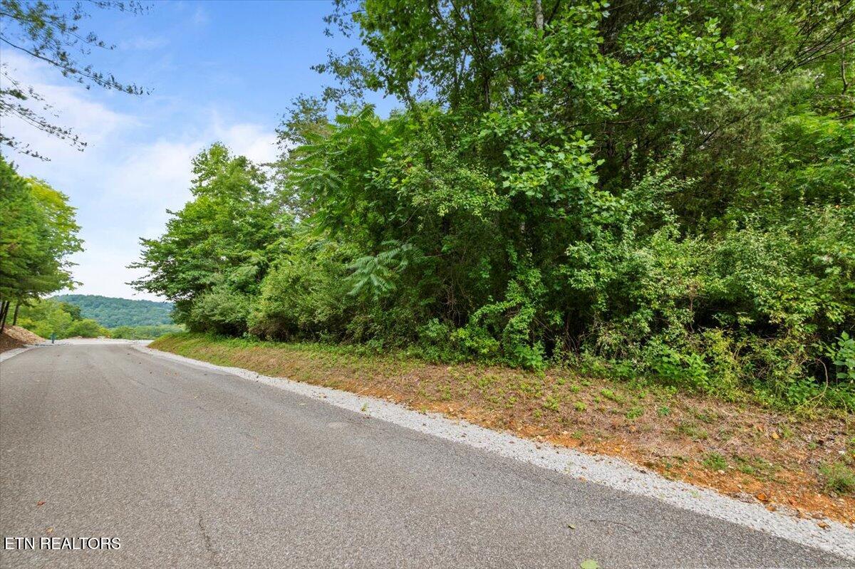 Lot 3 Norris Bend Lane