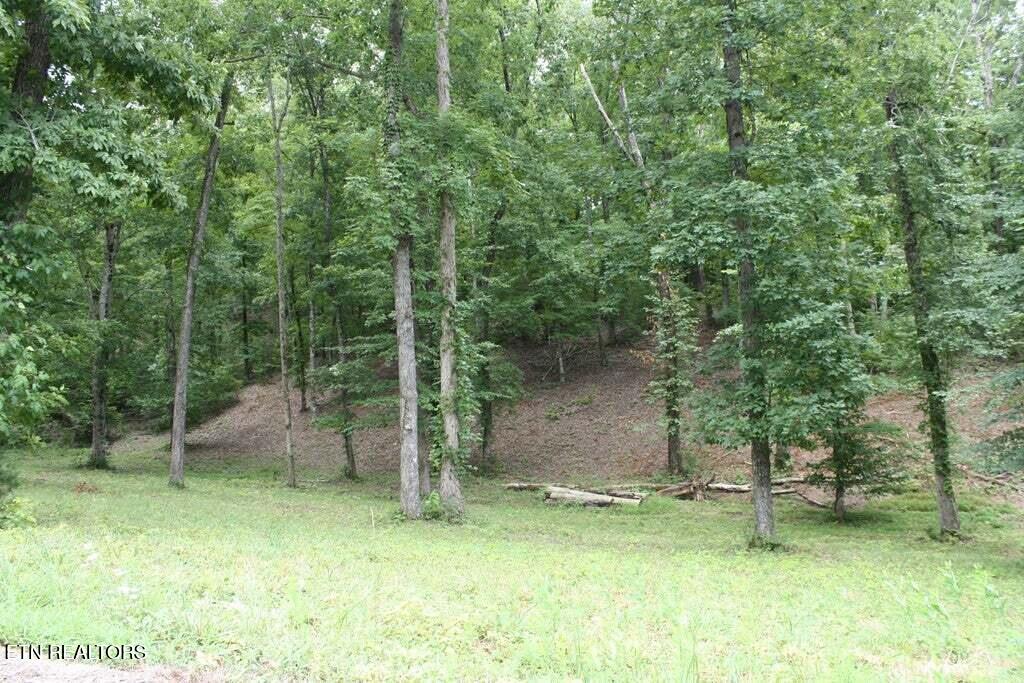 Lot 6 Cypress Drive