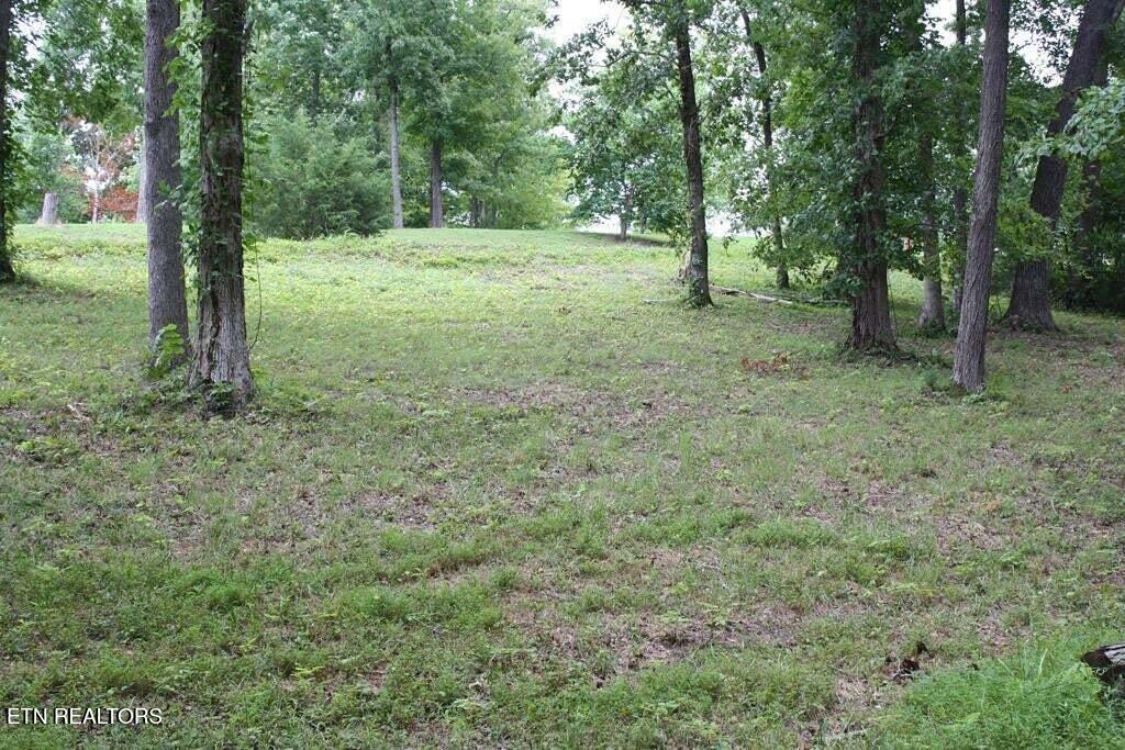 Lot 6 Cypress Drive