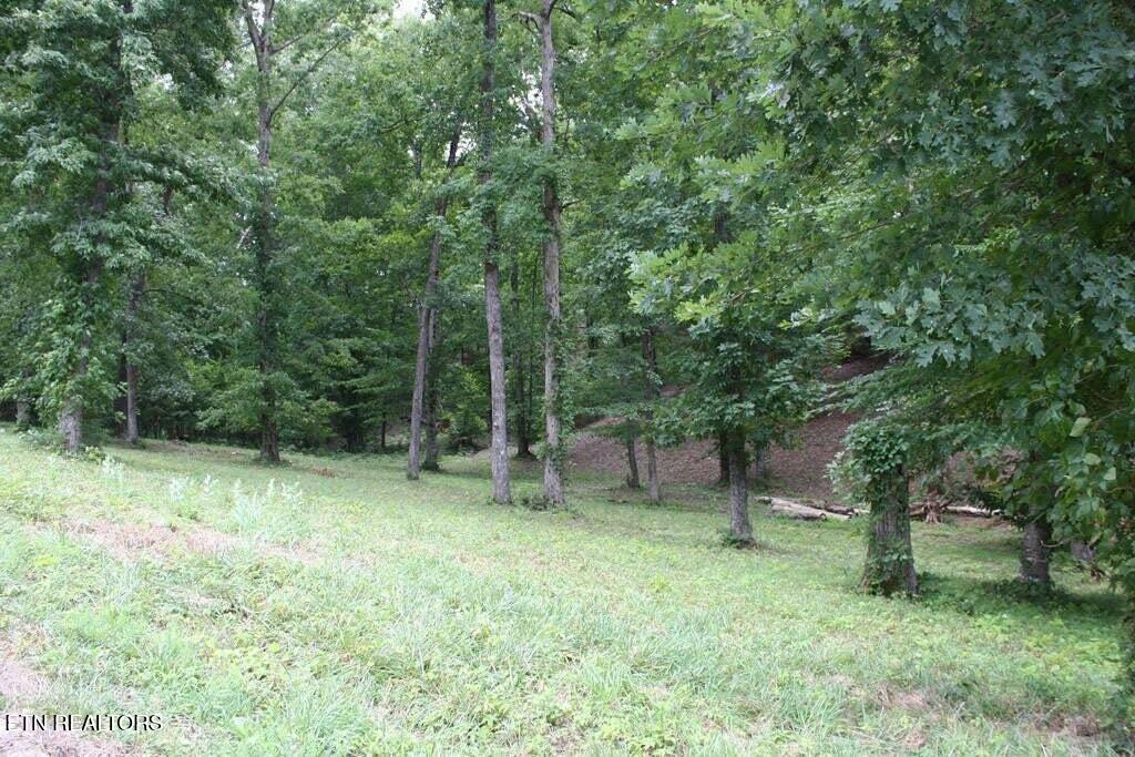 Lot 6 Cypress Drive