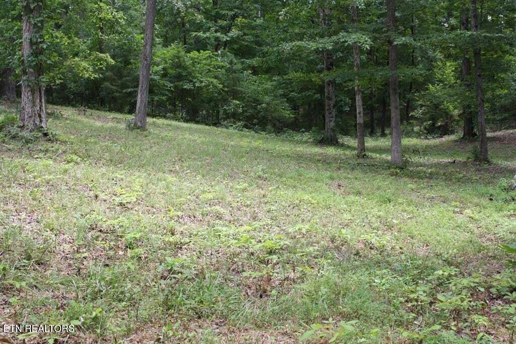 Lot 6 Cypress Drive