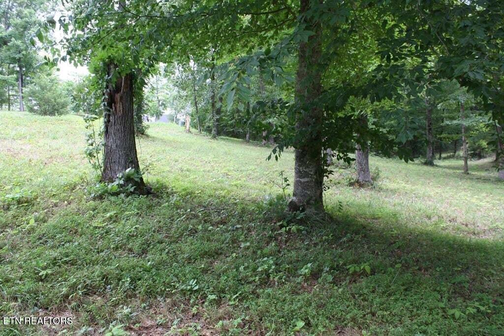 Lot 6 Cypress Drive