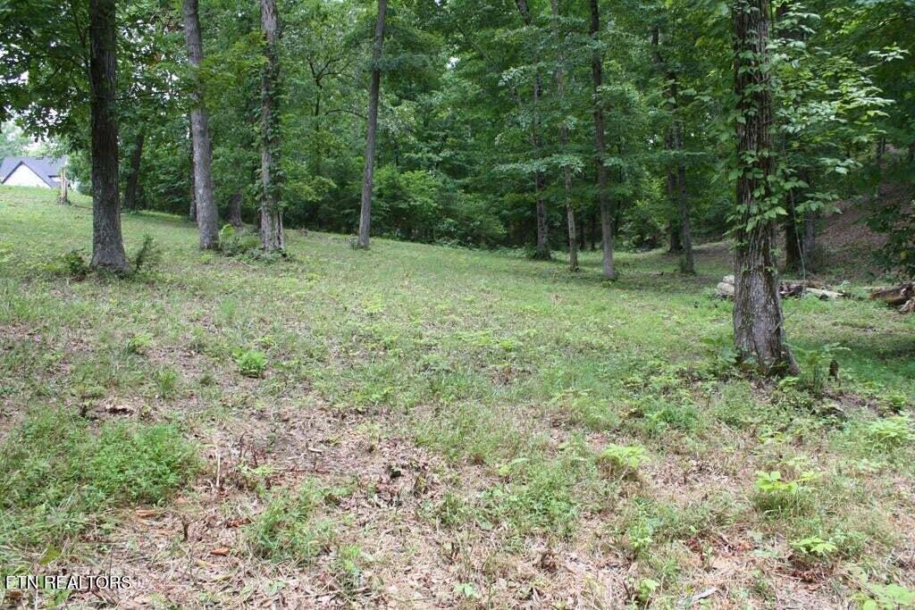 Lot 6 Cypress Drive