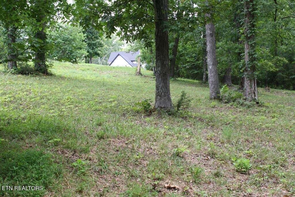 Lot 6 Cypress Drive