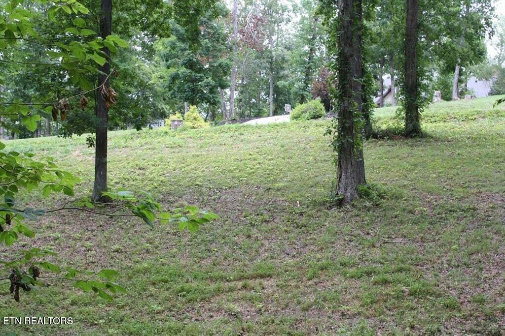 Lot 6 Cypress Drive