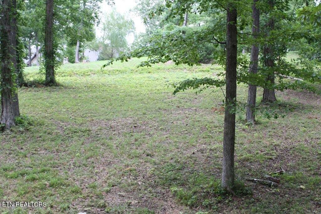 Lot 6 Cypress Drive