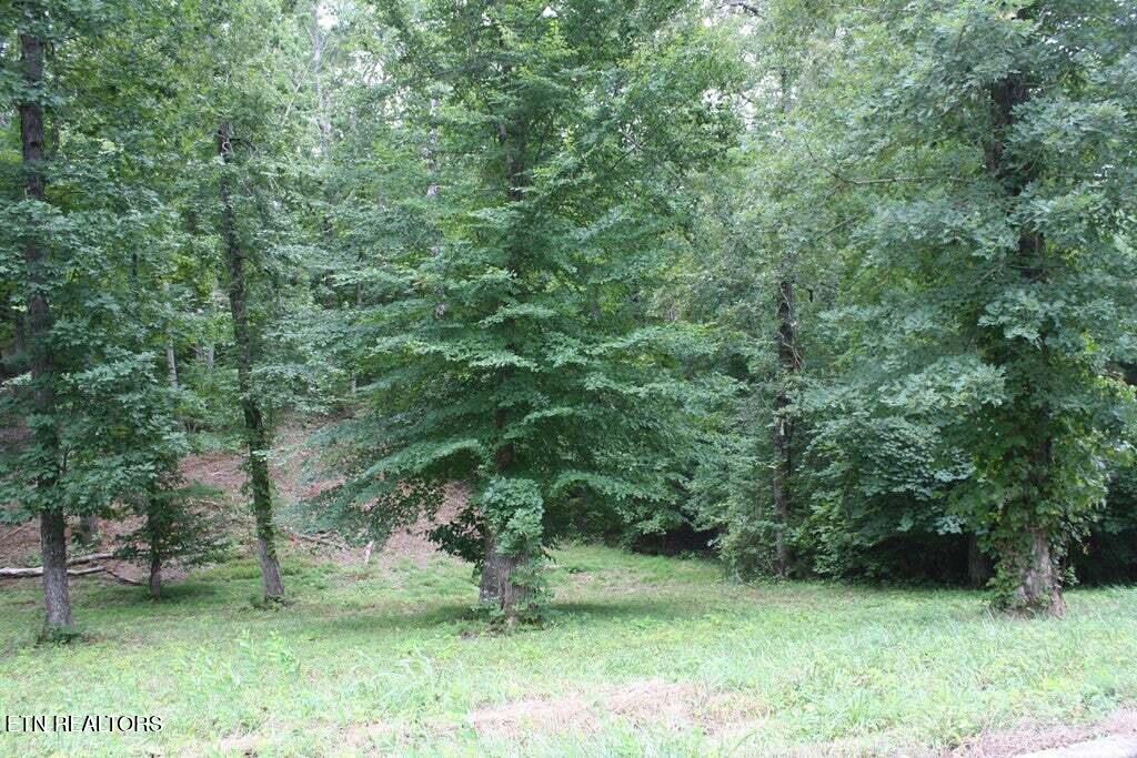 Lot 6 Cypress Drive