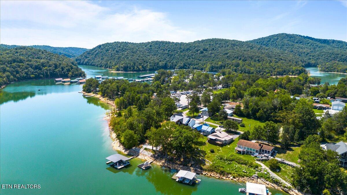 239 Cliffside Drive, LaFollette