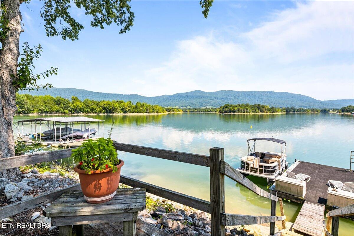 239 Cliffside Drive, LaFollette