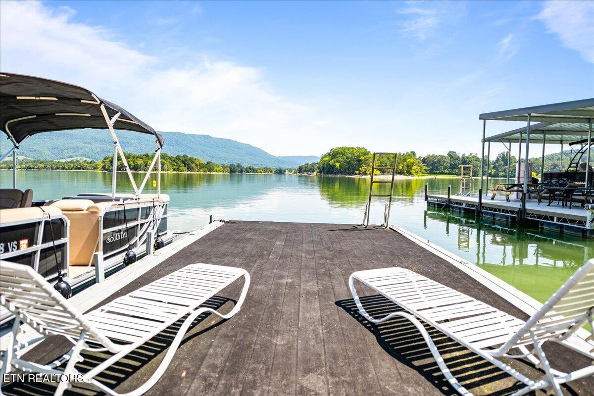 239 Cliffside Drive, LaFollette