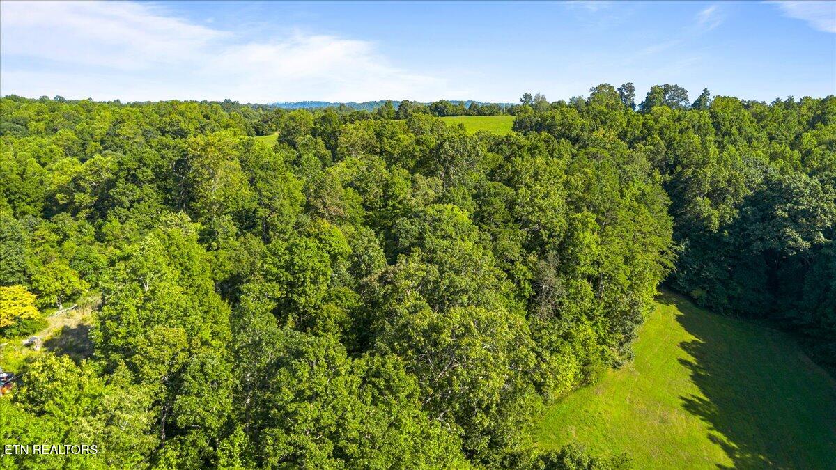 Murrayville Rd, LaFollette