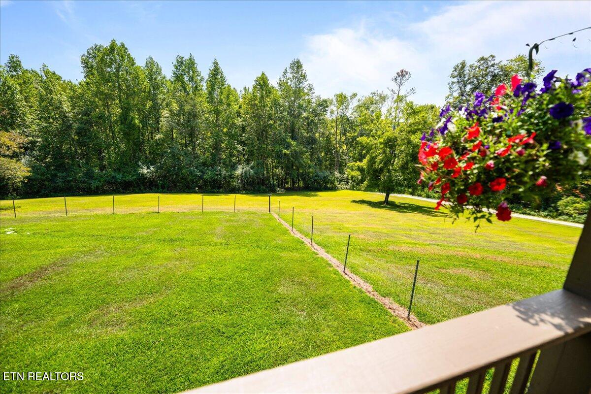 160 Cove Hollow Rd, LaFollette