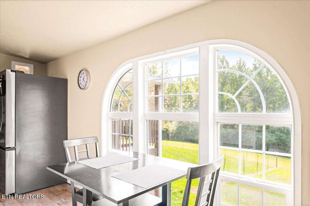 160 Cove Hollow Rd, LaFollette
