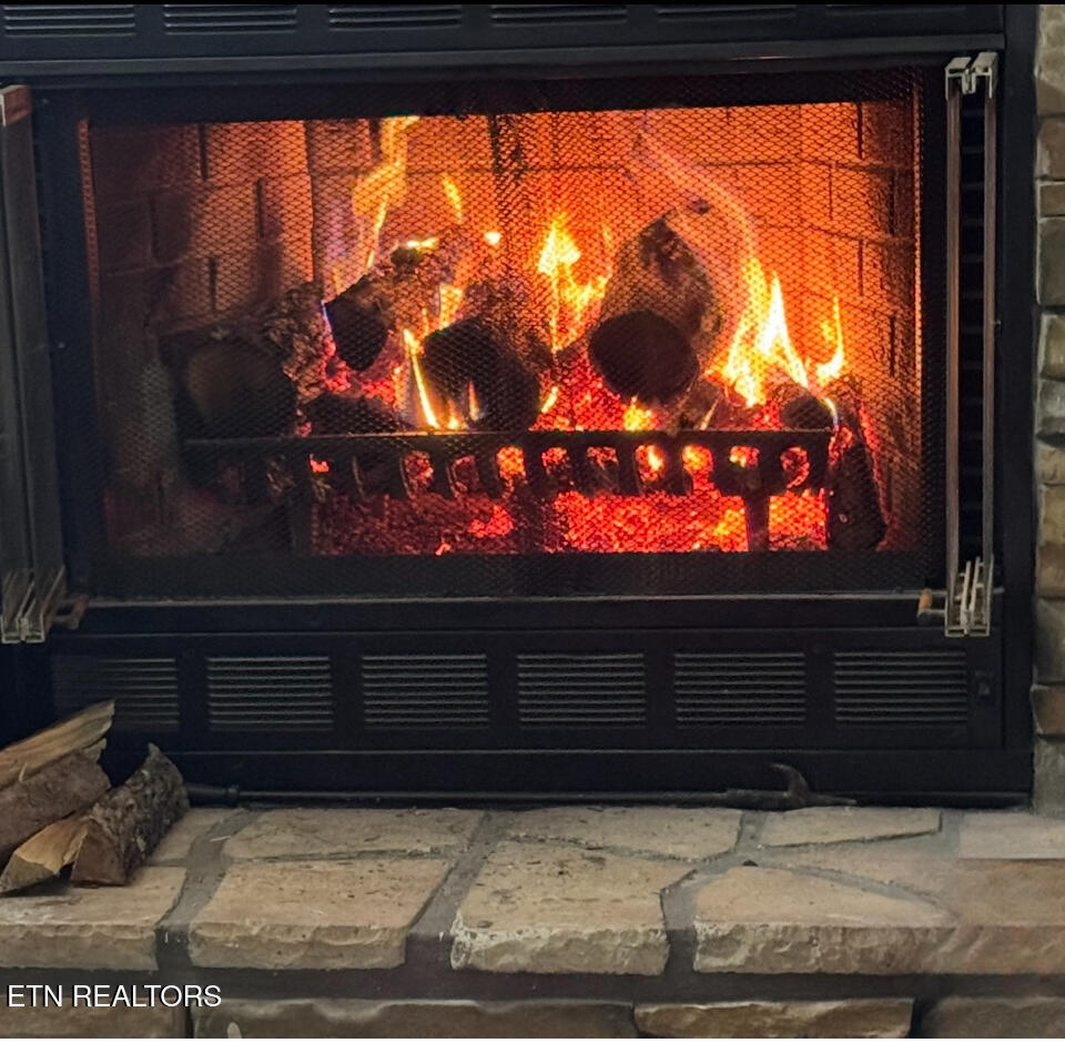 160 Cove Hollow Rd, LaFollette