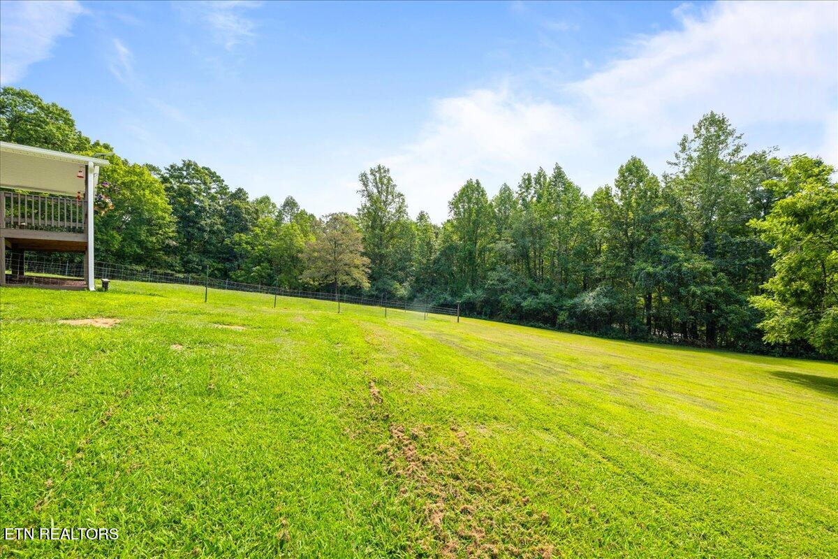 160 Cove Hollow Rd, LaFollette