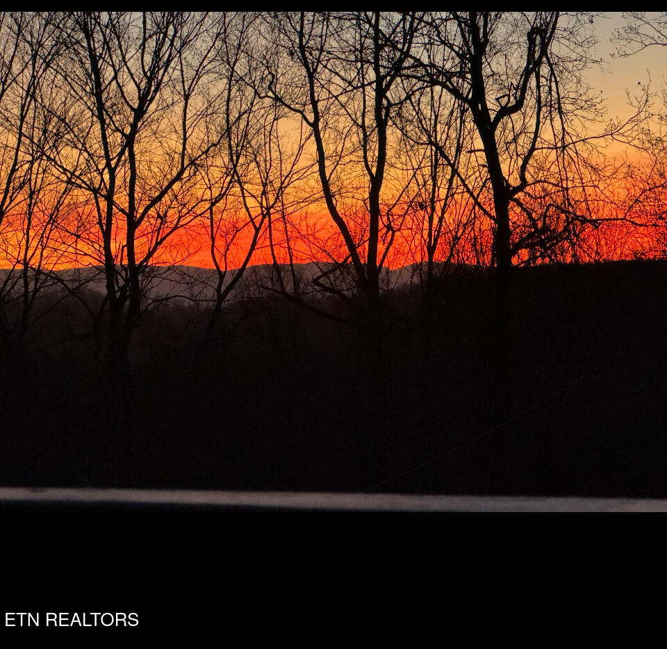 160 Cove Hollow Rd, LaFollette