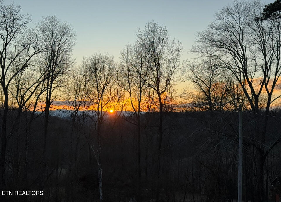 160 Cove Hollow Rd, LaFollette