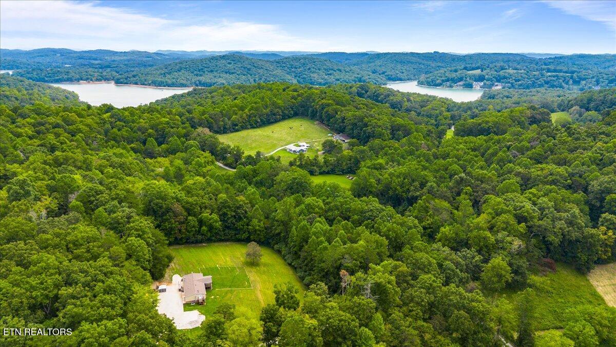 160 Cove Hollow Rd, LaFollette