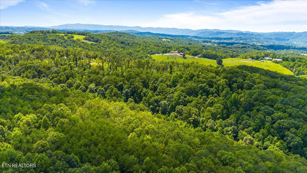 Bethel Lane, LaFollette