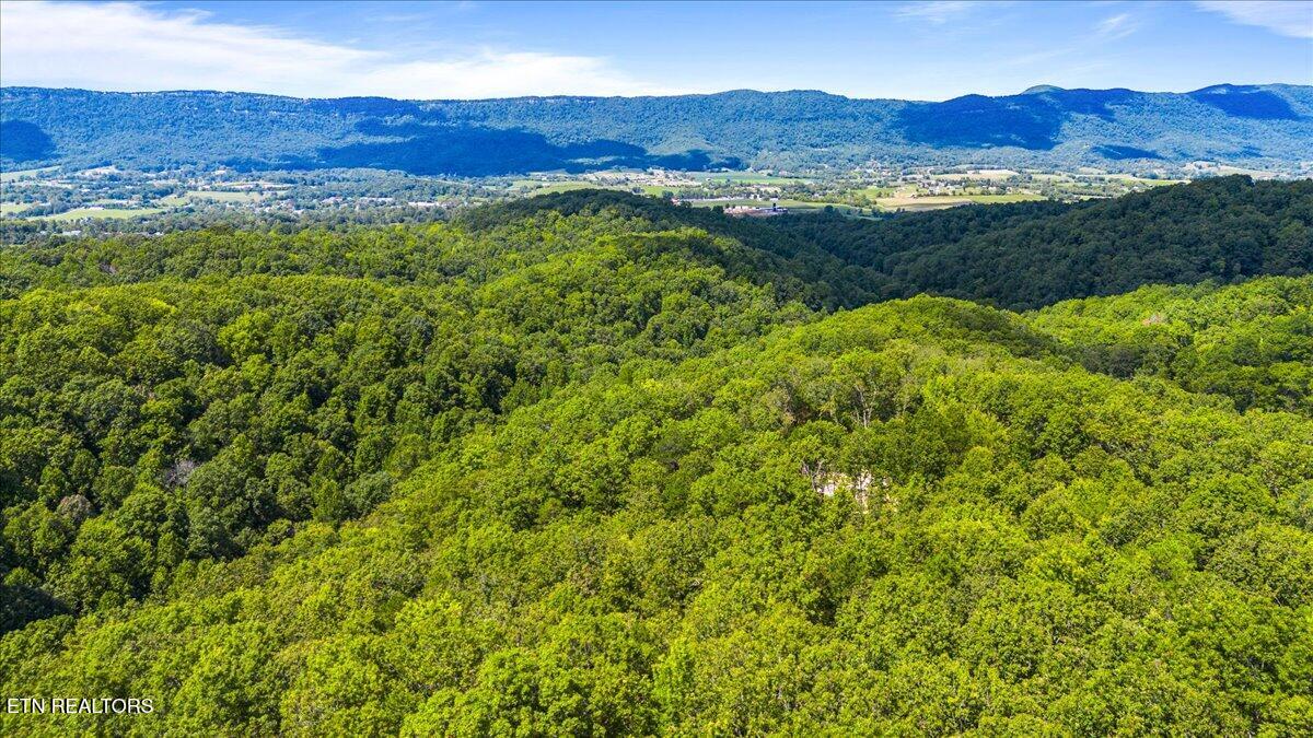 Bethel Lane, LaFollette