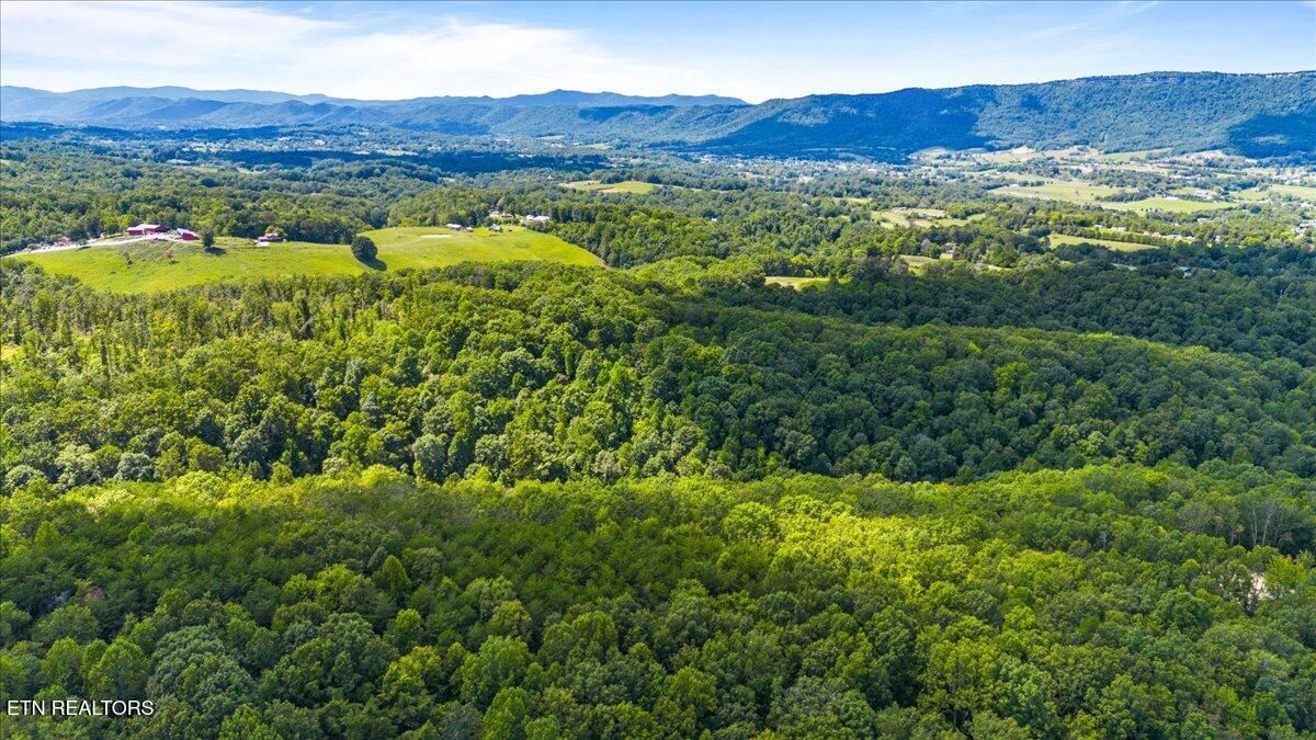 Bethel Lane, LaFollette